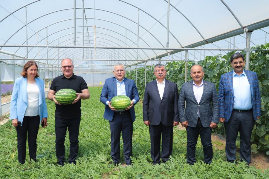 Şimşek