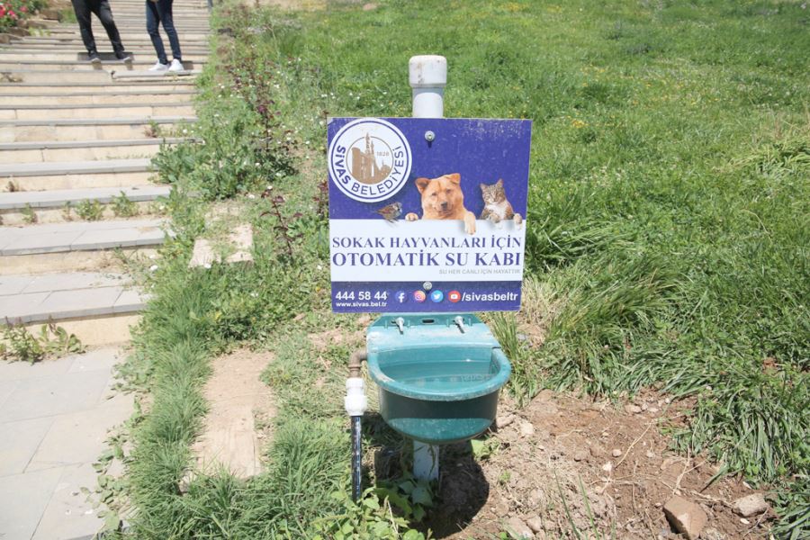  Sokak Hayvanları Susuz Kalmayacak