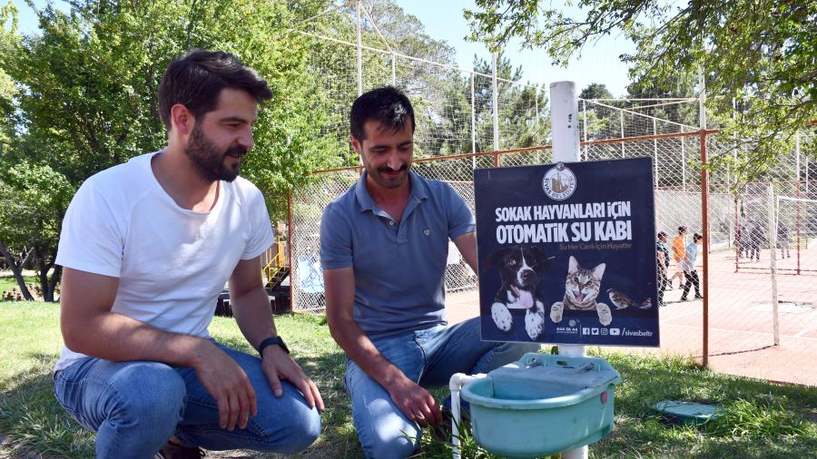 Sahipsiz Hayvanlar Susuz Kalmıyor