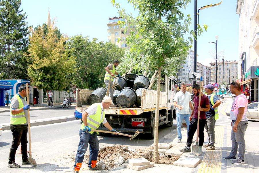 25 Bin Ağaç Toprakla Buluştu
