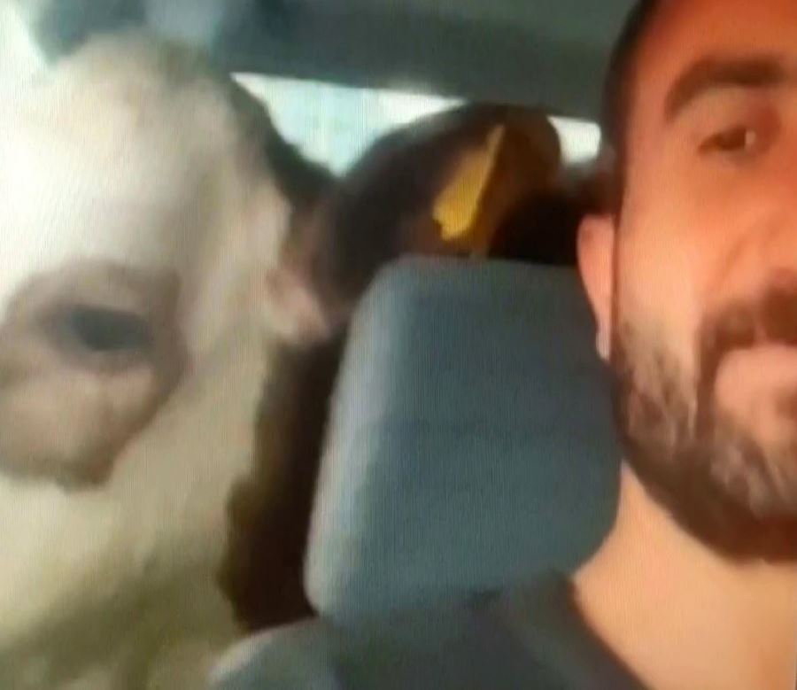 Yıllar Sonra Sivas'ta Aynı Kare