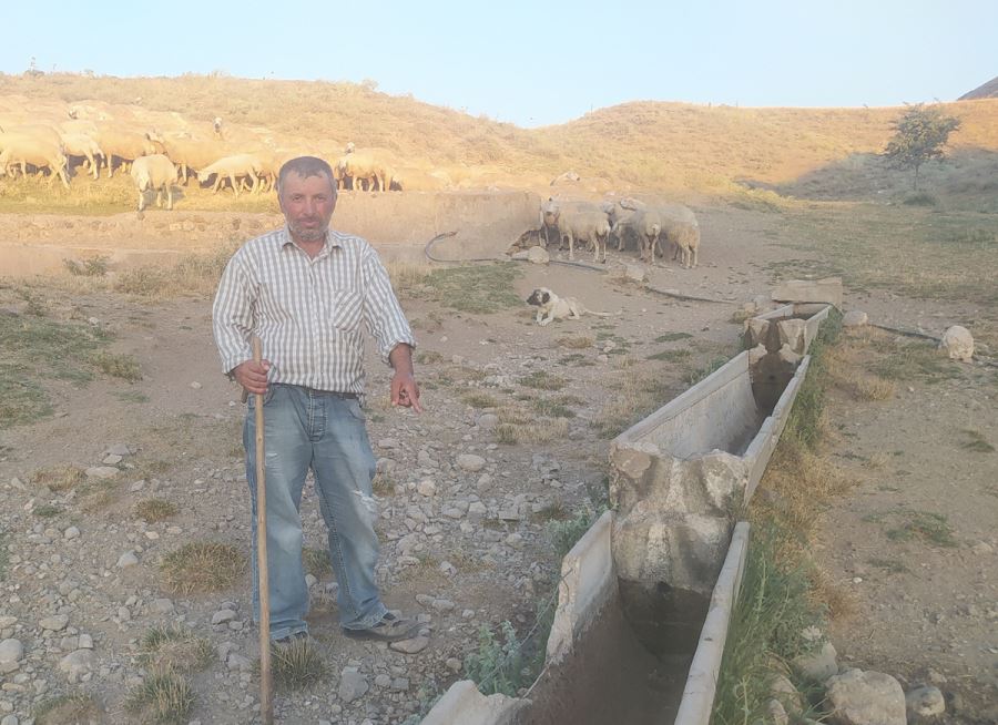 Vicdansızlığın Böylesi