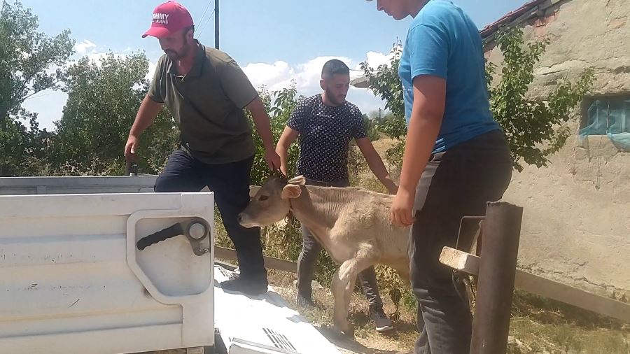 Yaptığı Hareketle İnsanlık Ölmemiş Dedirtti