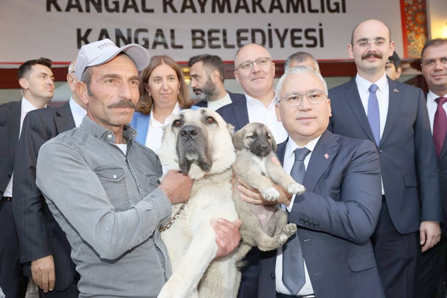 Tersine Göç İçin Çalışıyoruz--Video