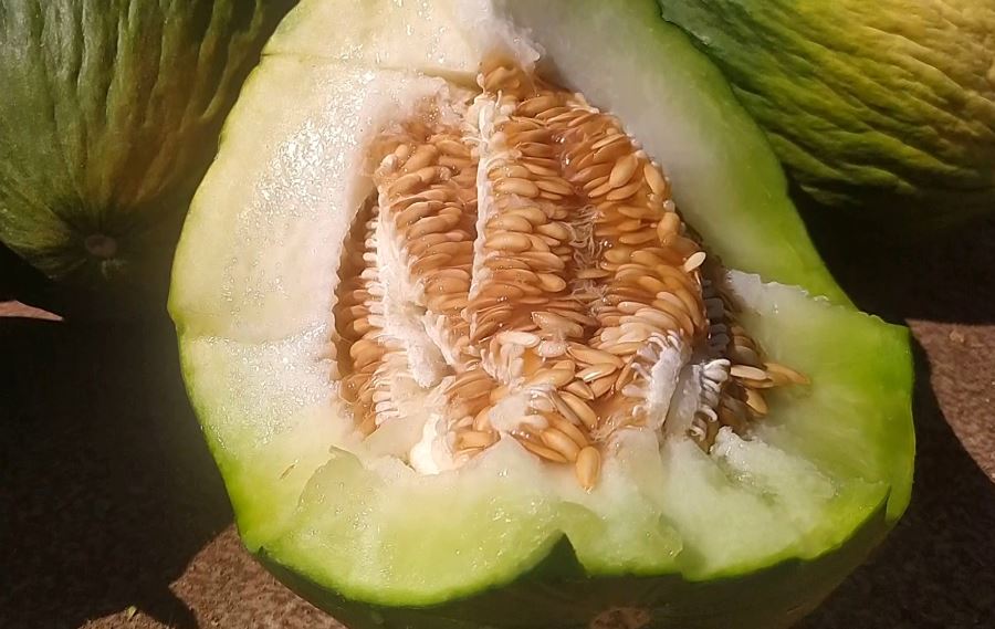 Dakikalar İçinde Tükendi