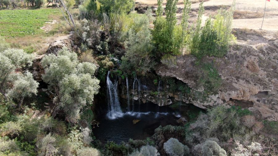 Sivas