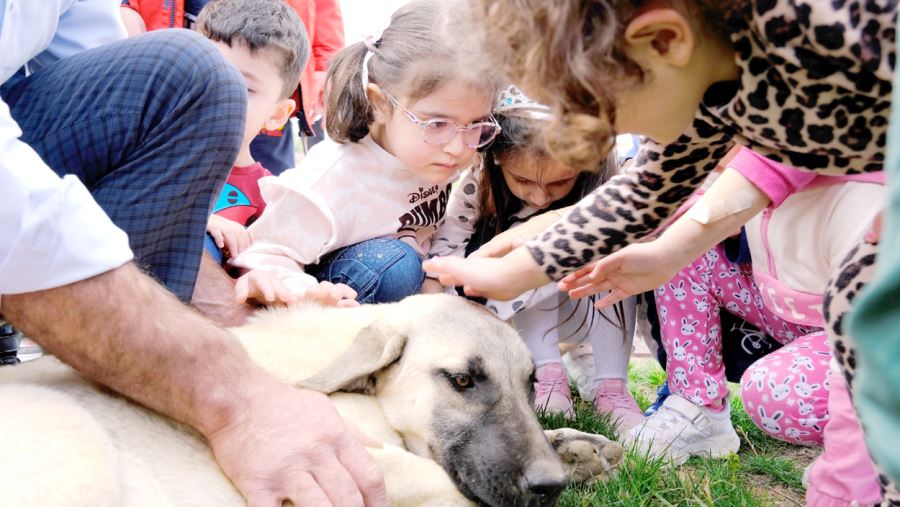 Kangal Köpekleriyle Tanıştılar--Video