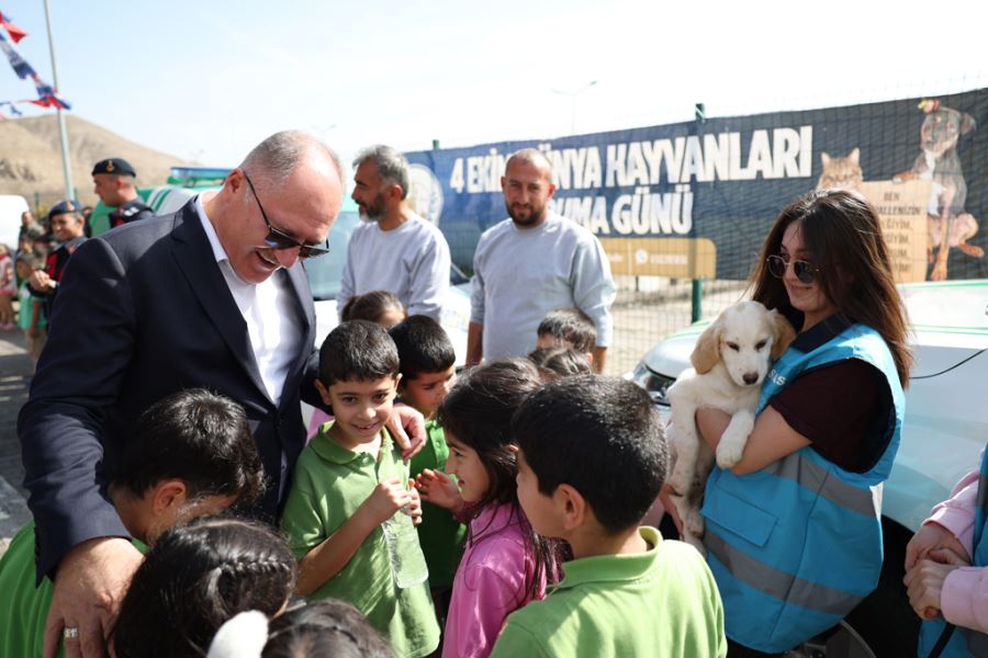 Kısırlaştırmayı Önemsiyoruz--Video