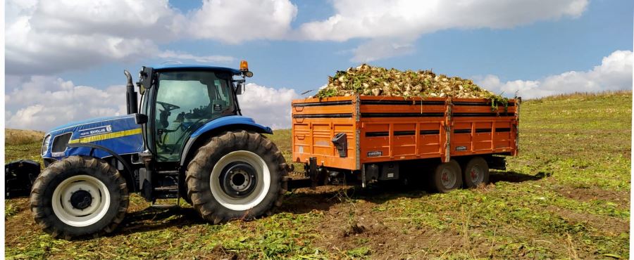 Pancar Üreticinin Yüzünü Güldürdü