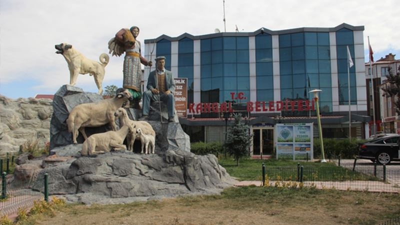 En Düşük Sıcaklık Kangal