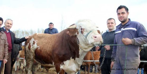 Pazarın Paşası