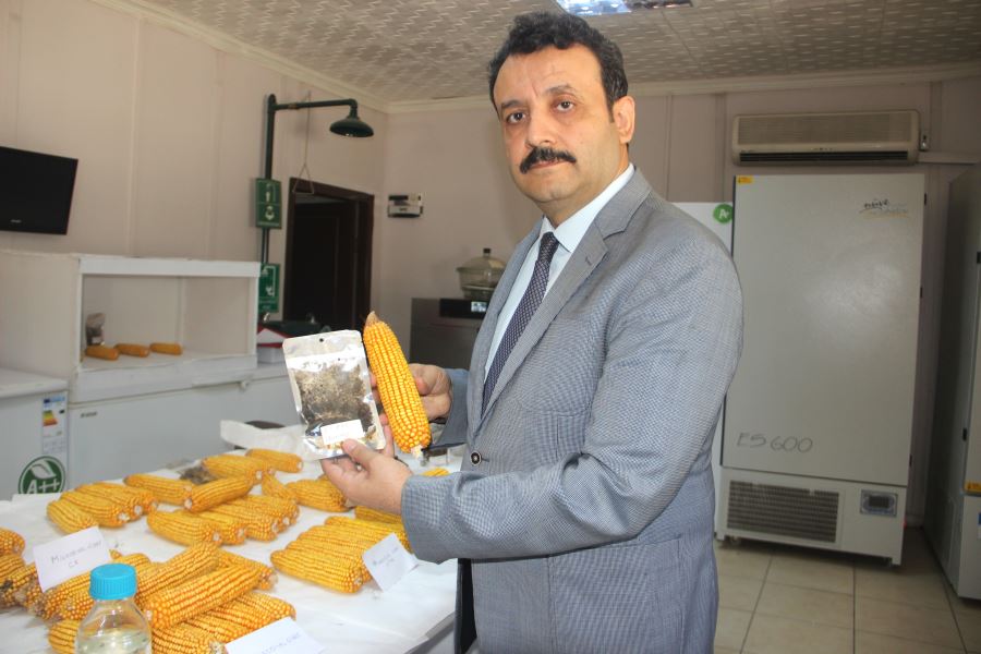 Atık Ekmekten Gübre Ürettiler