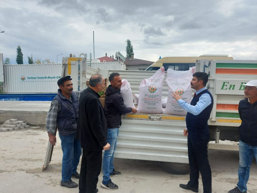 Ulaş'ta Çiftçiye Arpa Ve Buğday Tohumu Dağıtılıyor