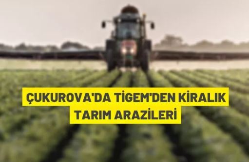 TİGEM'den kiralık tarım arazileri