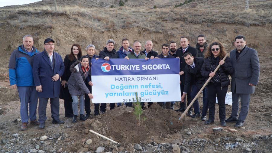 Türkiye Sigorta Ormanı Sivas'ta Yeşerecek
