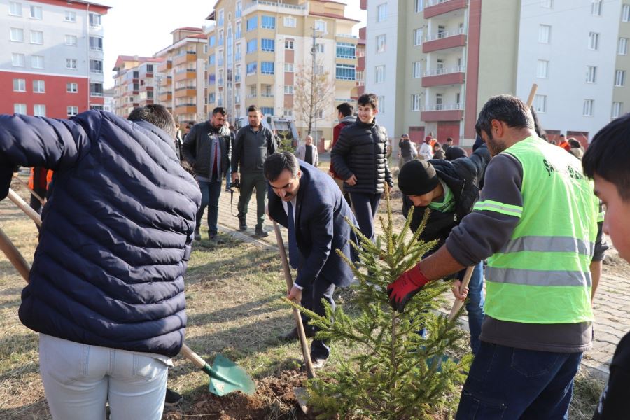 Sivas