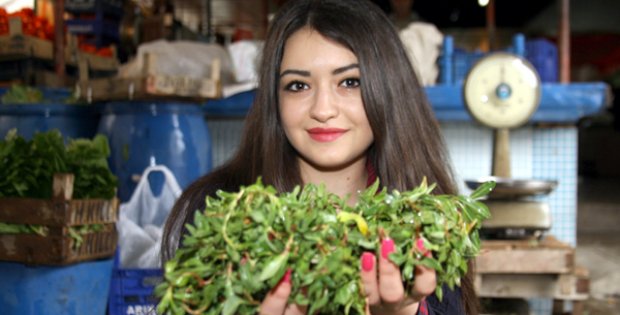 Madımak Oylum Oylum
