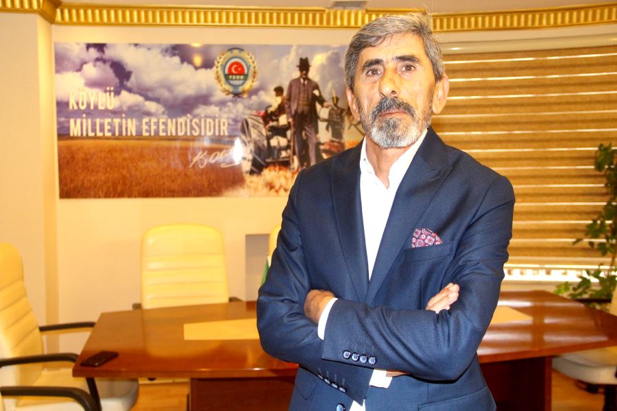 Şeker Pancarında Rekor 