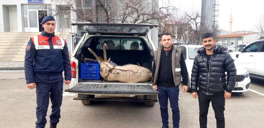 Yasadışı Av Pahalıya Patladı