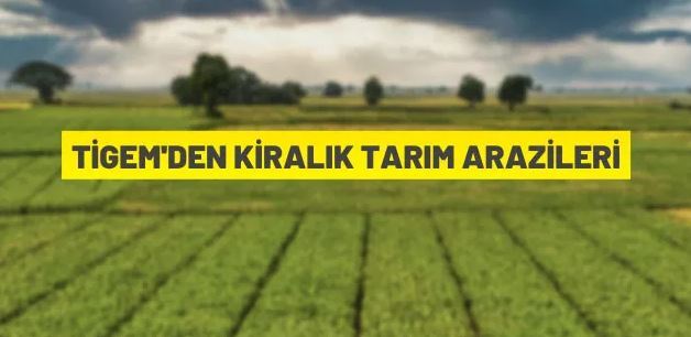 Çukurova Tarım İşletmesi Müdürlüğü, tarım arazilerini kiraya verecek