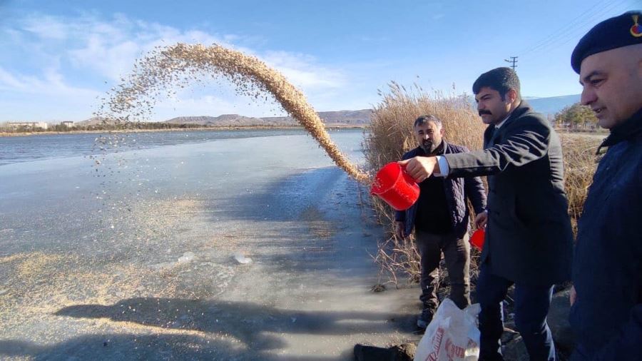 Yaban Hayvanları İçin Yem Bıraktılar 