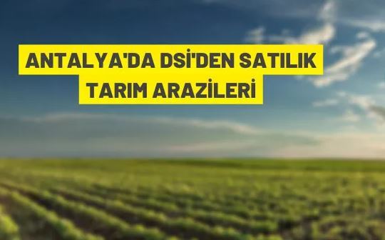 DSİ'den satılık tarım arazileri