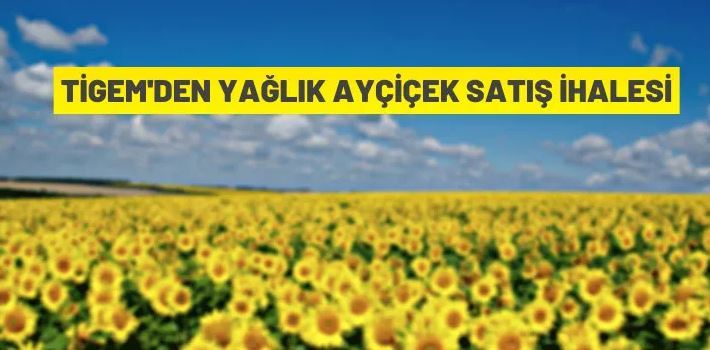 920.000 kilogram mahsul yağlık ayçiçeği ihaleyle satılacak