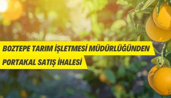 Boztepe Tarım İşletmesi Müdürlüğünden portakal satış ihalesine davet