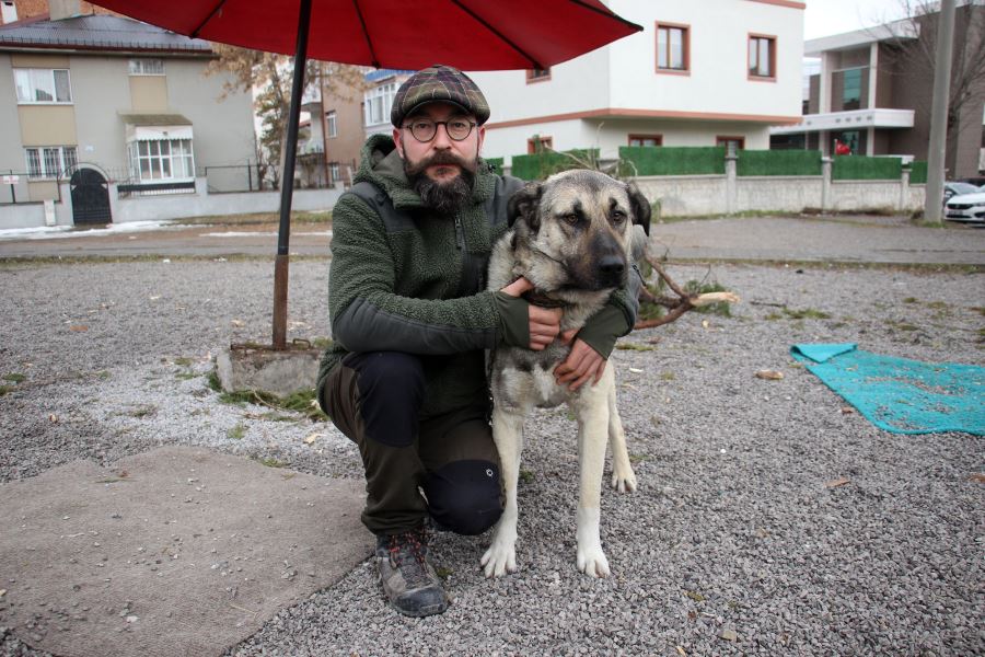 Gözü Dönen Komşu Köpek Kulübesini Ateşe Verdi