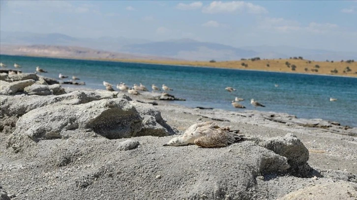 Sıcaklık  Ölümlerini Artırdı 