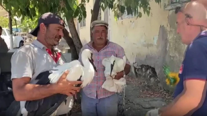 Ekipler Aç ve Susuz Kalan Leyleğin Yardımına Koştu 