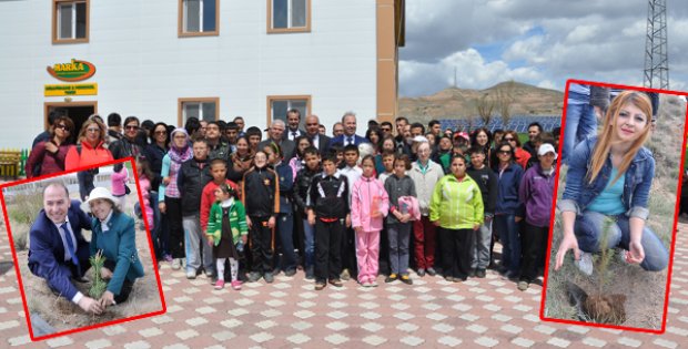 Sırrı Ağabey Fidanlaştı
