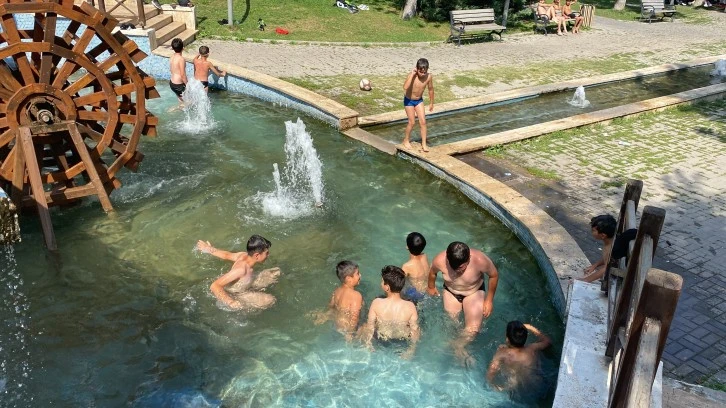 Çareyi Süs Havuzunda Buldular 
