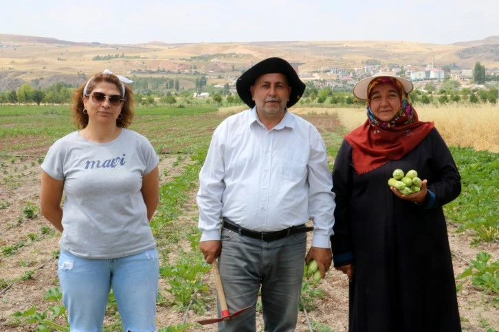  Üniversite Hayallerini Gerçekleştirdiler
