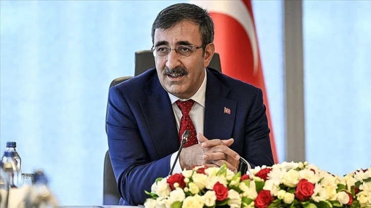 Cumhurbaşkanı Yardımcısından Tasarruf Açıklaması 
