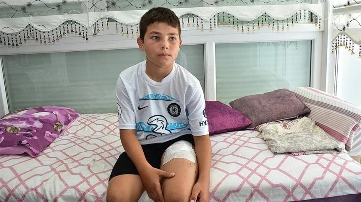 Sahipsiz Köpeklerin Saldırısına Uğradı 