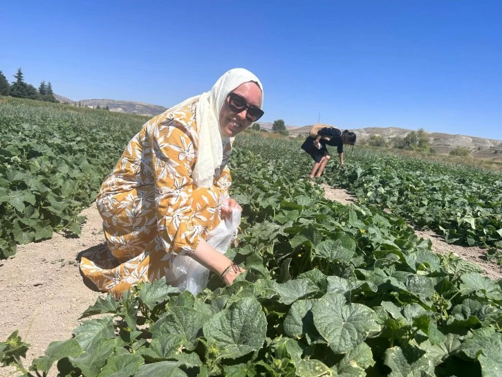 Seçmece Usulü Tarla 
