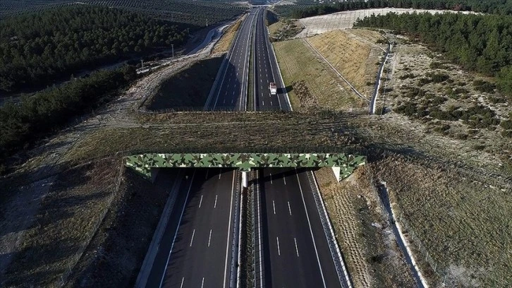 Hayvanlar İçin Ekolojik Köprü Yapılıyor 