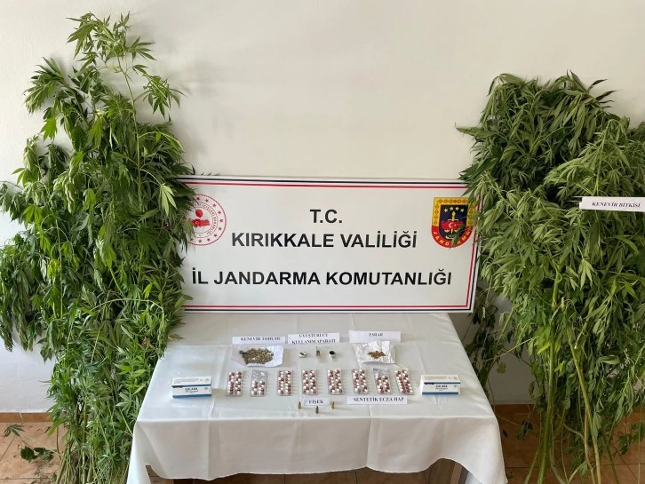 Jandarmadan Uyuşturucu Operasyonu 