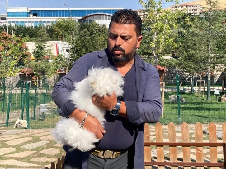 Türkiye'de sadece 25 tane kaldı