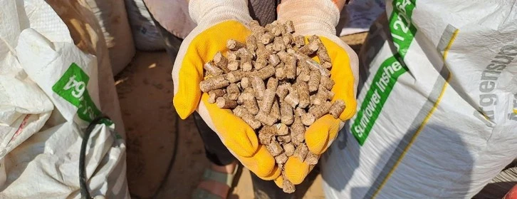 KOSGEB Desteğiyle Alternatif Palet Üretiyor 