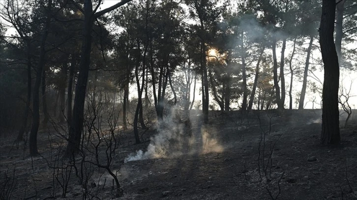 Yüreklere Su Serpen Açıklama Geldi