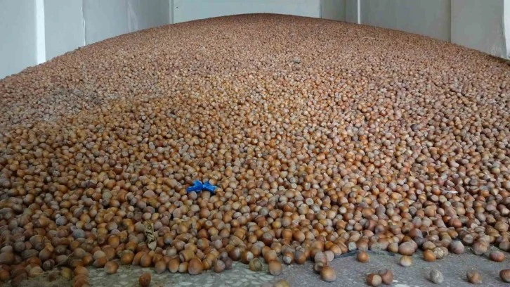 20 Milyar Doları Aşkın Döviz Getirdi