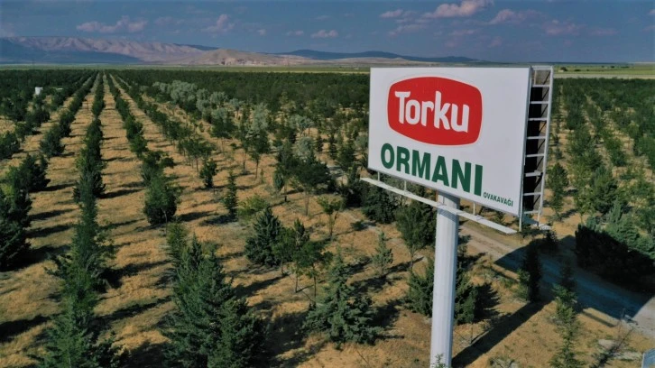 Torku Ağaçlandırmaya Devam Edecek 