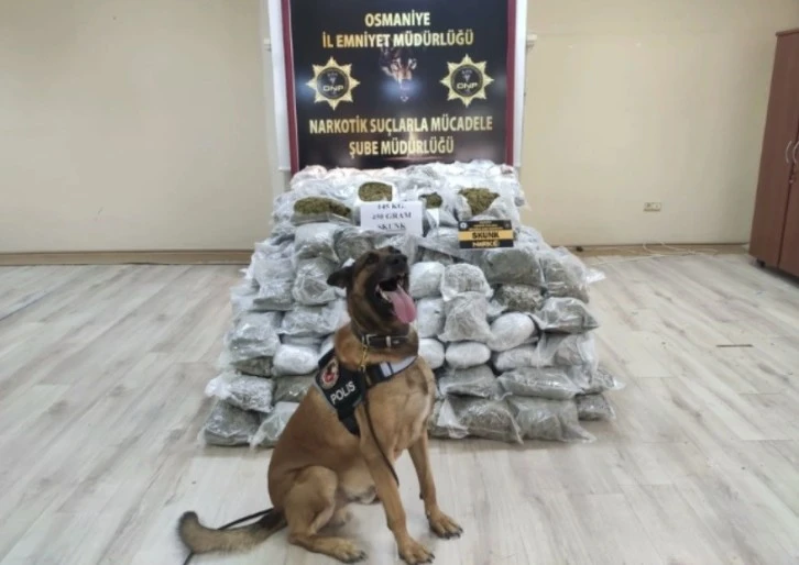 Sivas İl Emniyet Müdürlüğü, Tırda 145 Kilo Skunk Ele Geçirdi