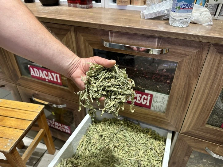 Güneşten Hasar Gören Ciltler İçin Doğal Öneriler 
