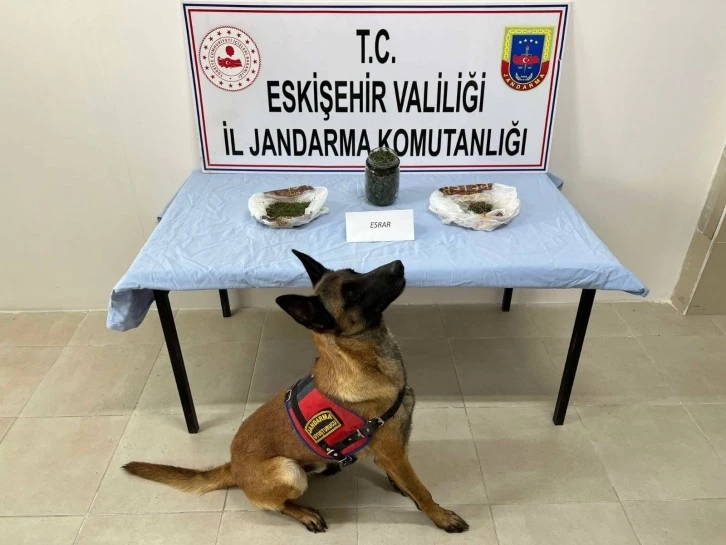 Jandarmadan Uyuşturucu Operasyonu 