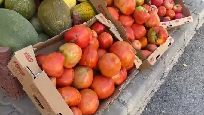 Sivas'ta Ata Tohumu ve Hayvan Gübresi Birleşince Ortaya Bu Sonuç Çıktı 