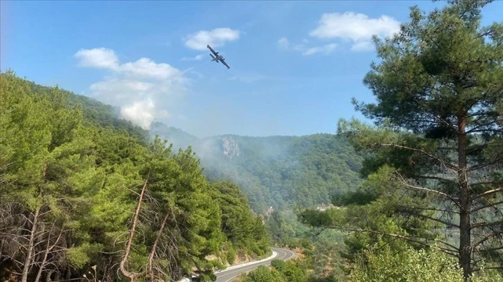 Kazdağları'nda Orman Yangını