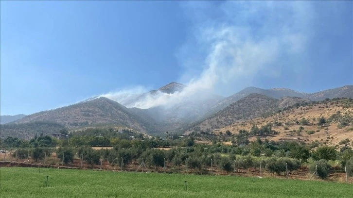 Maraş'ta Çıkan Yangına Havadan ve Karadan  Müdahale Ediliyor 